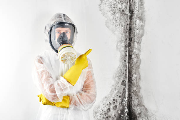 Best Mold Damage Restoration  in Finley, WA